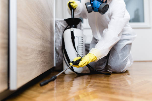 Best Pest Control Treatment  in Tyhee, ID