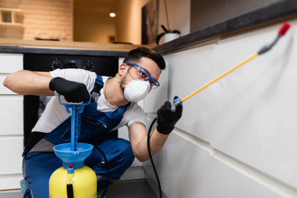Best Affordable Pest Control Services  in Tyhee, ID
