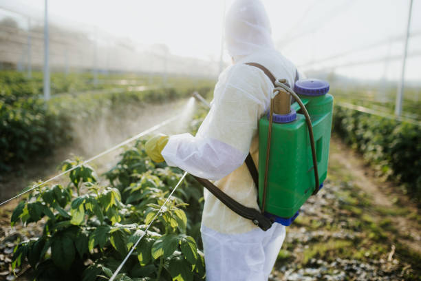 Best Pest Control Near Me in Tyhee, ID